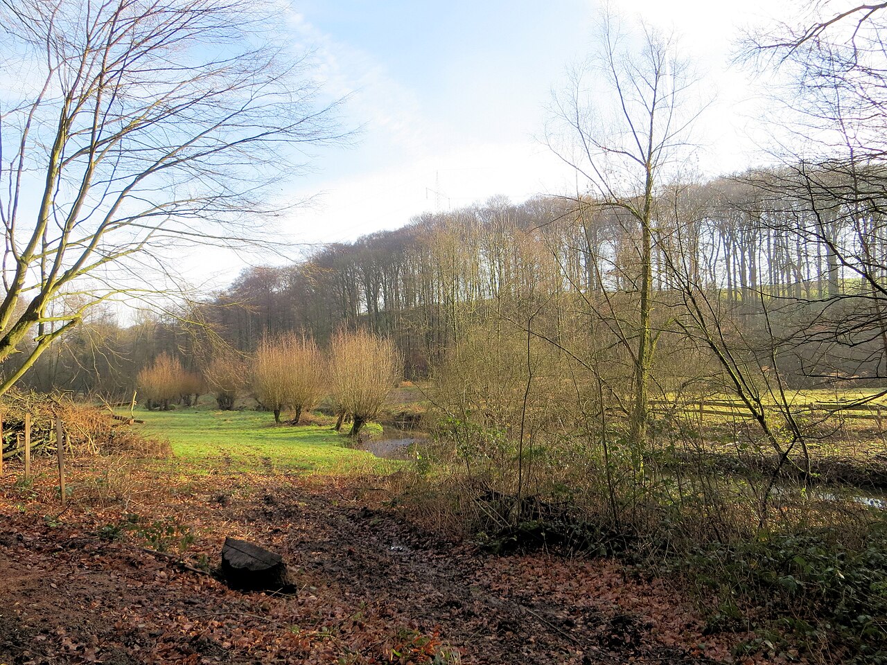 Ittertal bei Mettmann &ndash; idyllische Natur für romantische Hochzeiten &ndash; idyllische Bachlandschaft im Bergischen Land